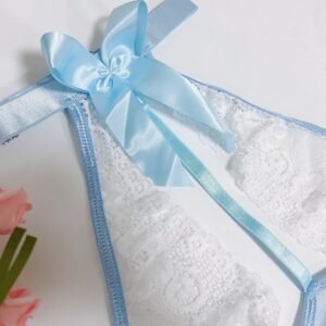 Role Play Maid Uniform Mesh See-through Seductive Set