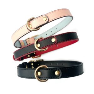 Collar Female Training Tool Role Play